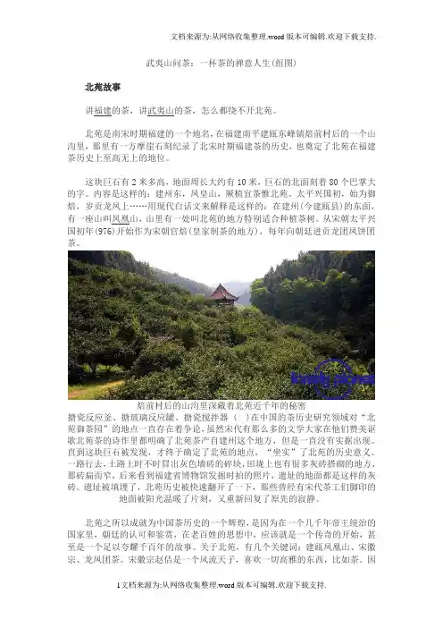 武夷山问茶：一杯茶的禅意人生