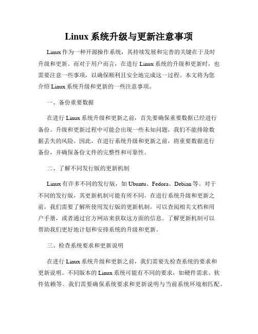 Linux系统升级与更新注意事项