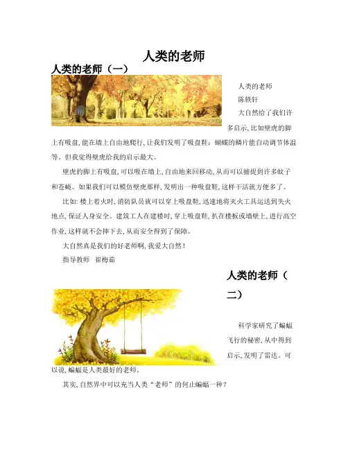 人类的老师(共10篇)