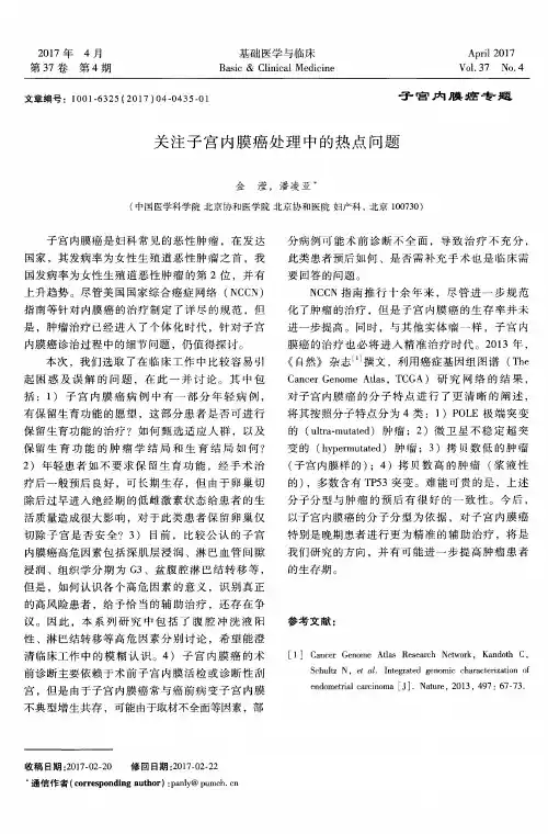 关注子宫内膜癌处理中的热点问题