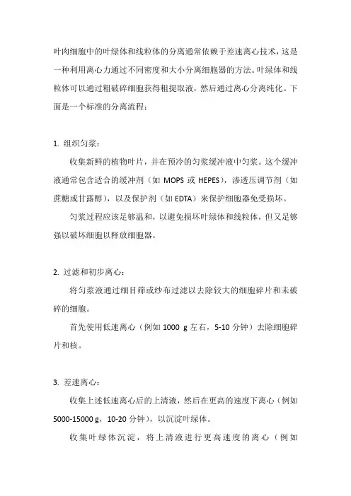 叶肉细胞的叶绿体和线粒体分离方法