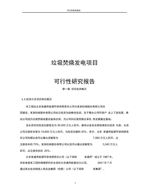 垃圾焚烧发电项目可行性研究报告
