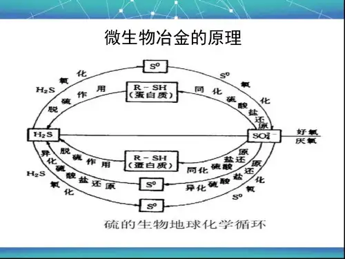 微生物冶金概述