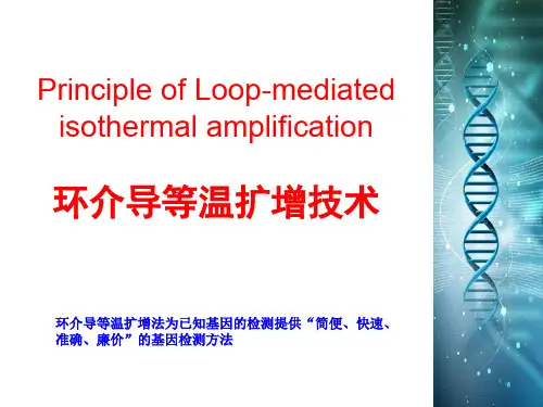 环介导等温扩增技术简介