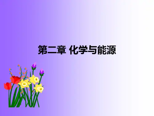 大学选修课现代生活与化学的PPT