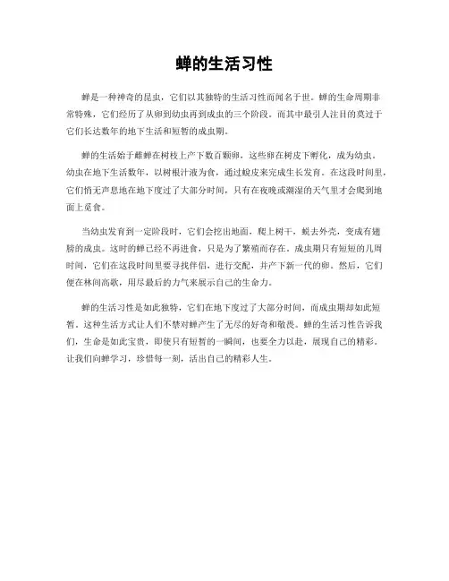 蝉的生活习性