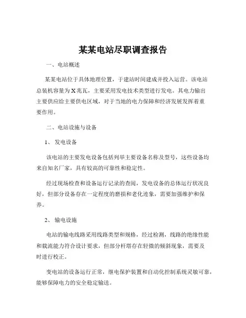 某某电站尽职调查报告