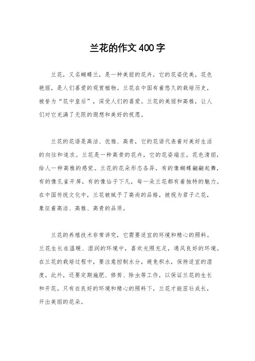 兰花的作文400字