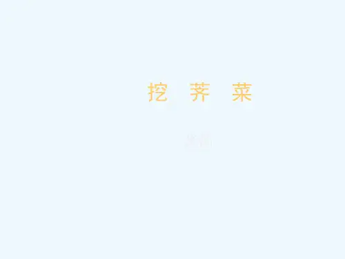 挖荠菜课件