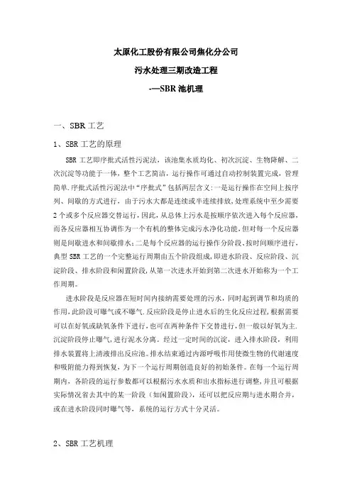 SBR池机理及流程