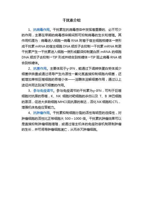 干扰素介绍