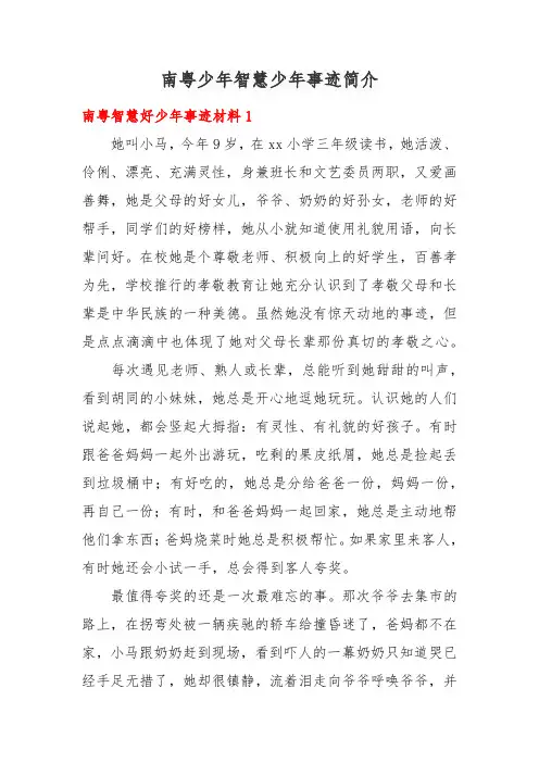 南粤少年智慧少年事迹简介