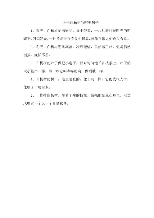关于白杨树的唯美句子