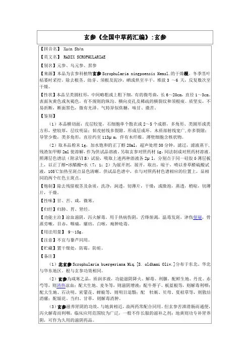 玄参《全国中草药汇编》