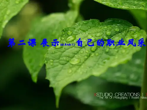 展示自己的职业风采(ppt版)