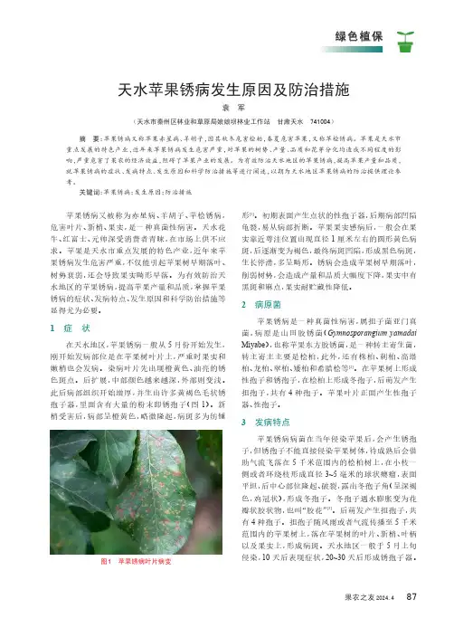 天水苹果锈病发生原因及防治措施