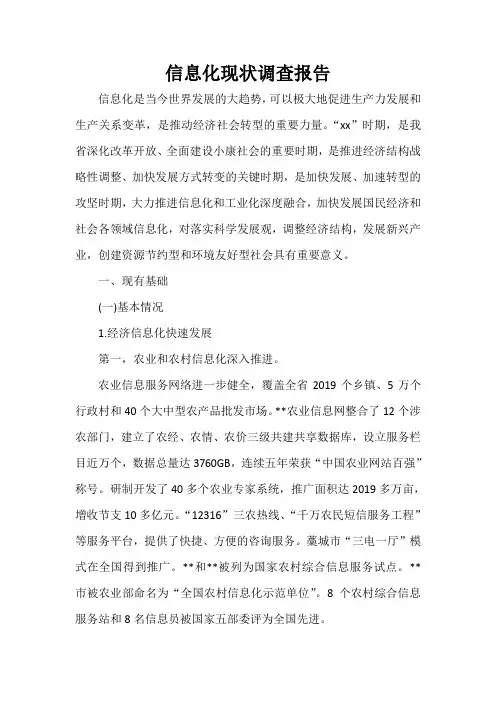  信息化现状调查报告
