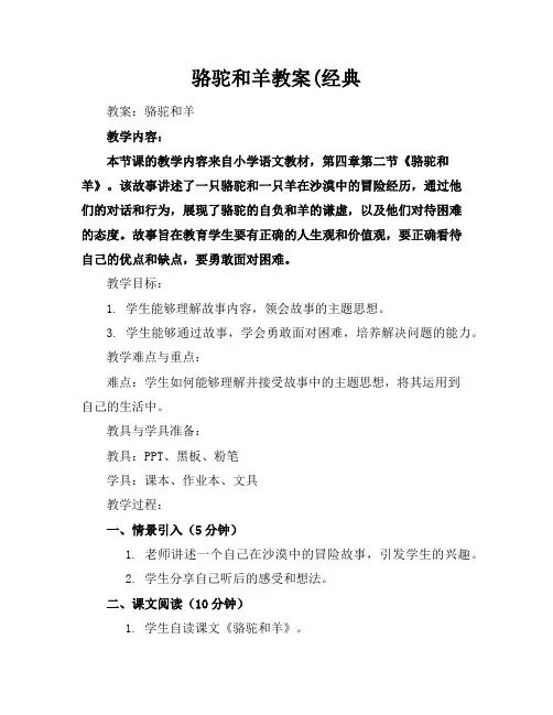 骆驼和羊教案(经典