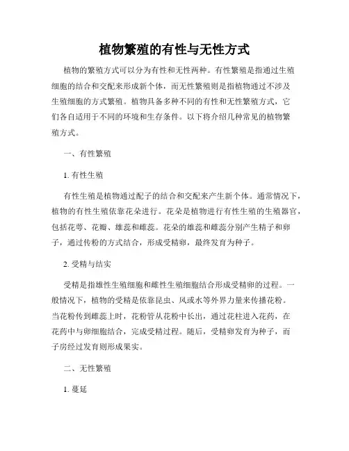 植物繁殖的有性与无性方式