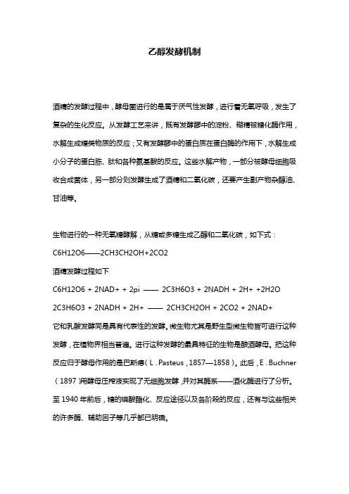 乙醇发酵机制