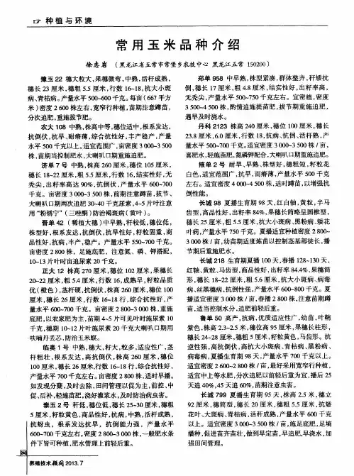 常用玉米品种介绍