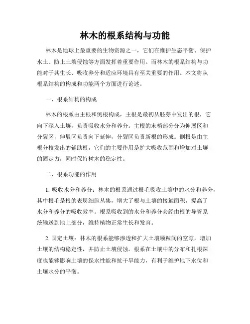 林木的根系结构与功能