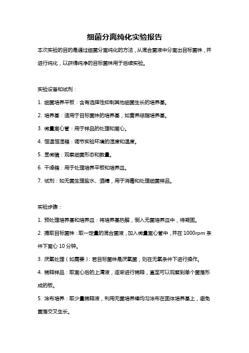 细菌分离纯化实验报告