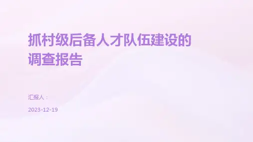 抓村级后备人才队伍建设的调查报告