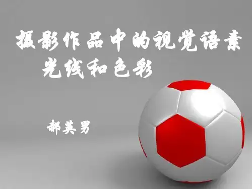 摄影作业赏析
