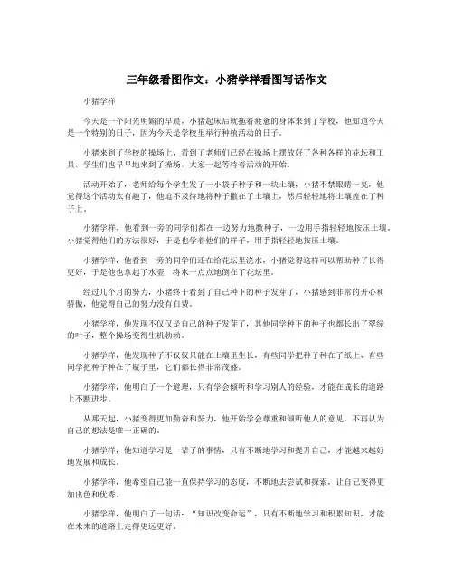 三年级看图作文：小猪学样看图写话作文
