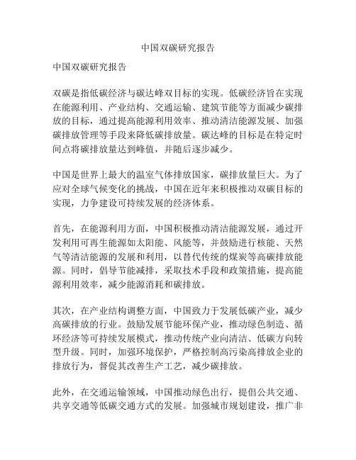中国双碳研究报告