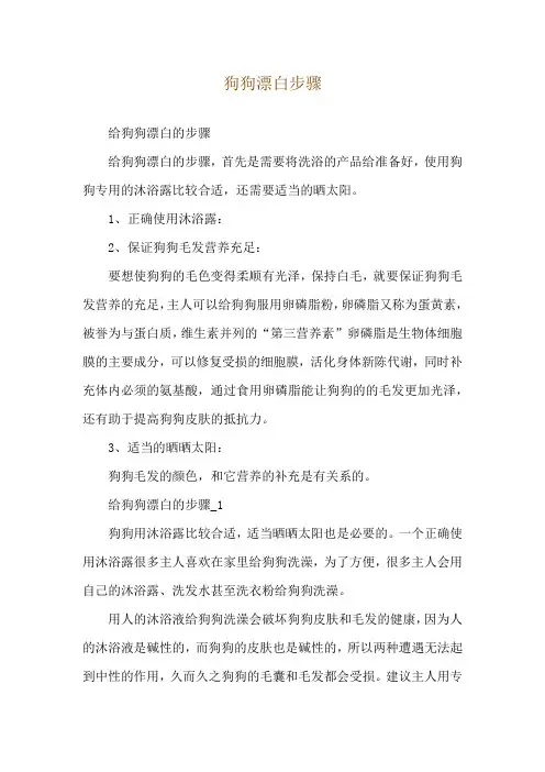 狗狗漂白步骤