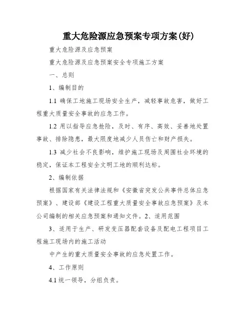 重大危险源应急预案专项方案(好)
