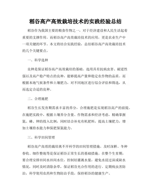 稻谷高产高效栽培技术的实践经验总结