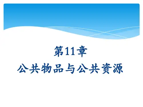 微观经济学公共物品与公共资源