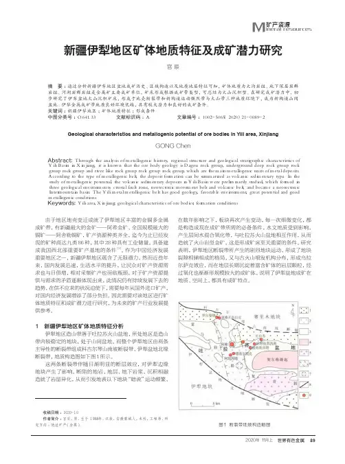 新疆伊犁地区矿体地质特征及成矿潜力研究