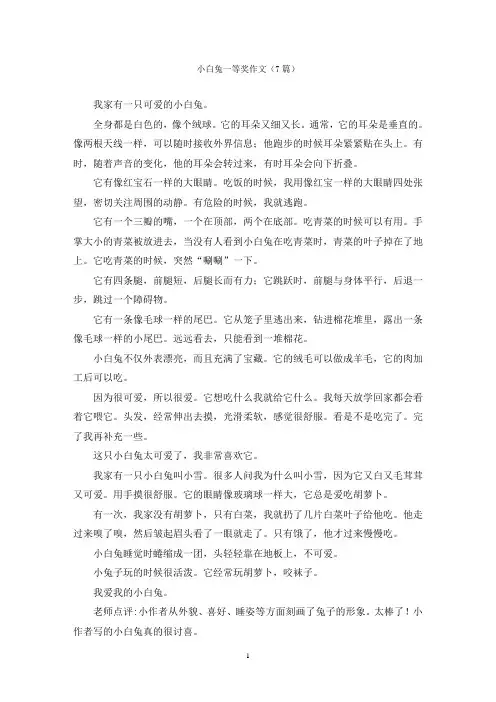 小白兔一等奖作文(7篇)