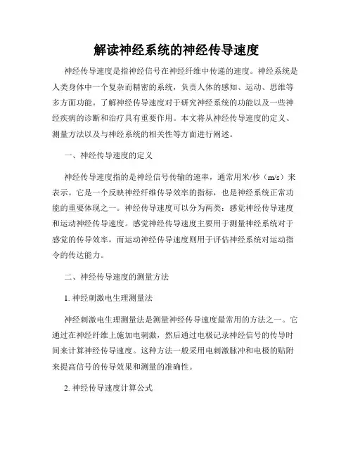 解读神经系统的神经传导速度