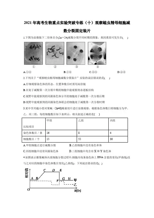 2021届高考生物重点实验突破专练(十)观察蝗虫精母细胞减数分裂固定装片