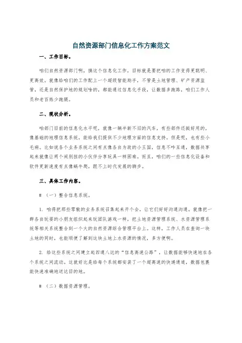 自然资源部门信息化工作方案范文