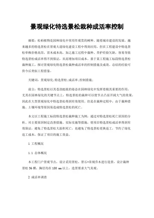 景观绿化特选景松栽种成活率控制