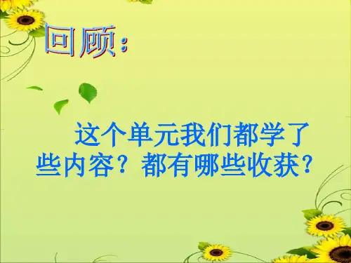 《电能和能量》PPT完美课件教科版小学1
