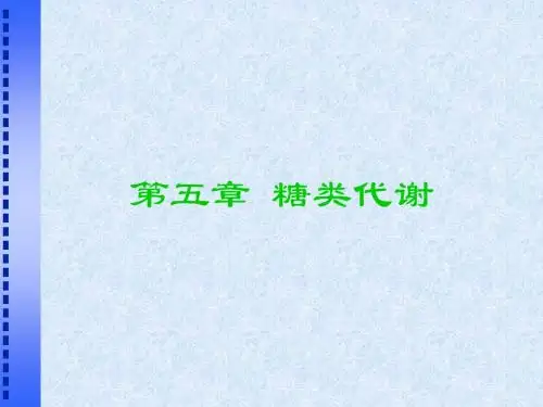 糖类代谢