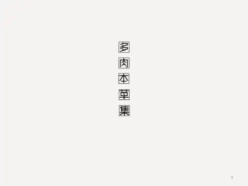 多肉PPT课件