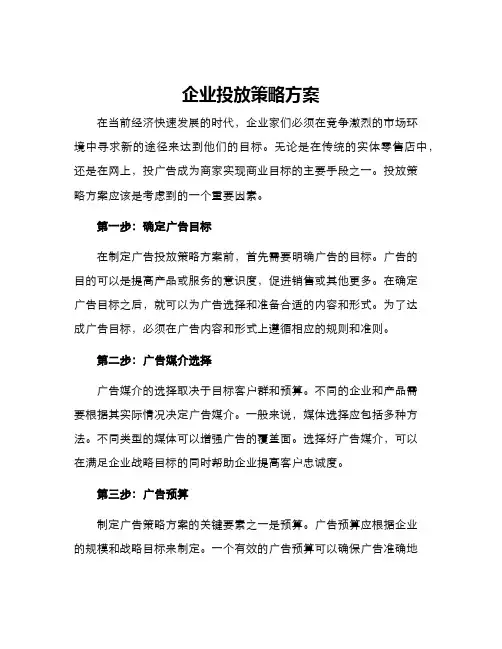 企业投放策略方案