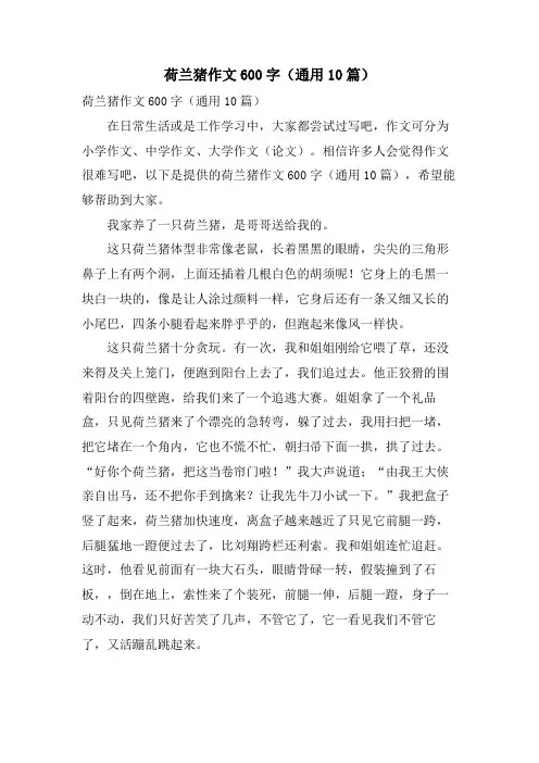 荷兰猪作文600字(通用10篇)