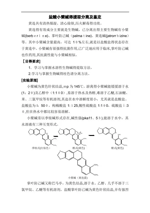 小檗碱的提取分离及鉴定
