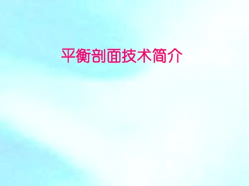 平衡剖面-技术简介