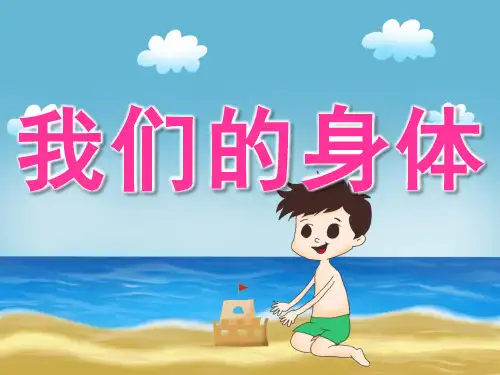 大班健康《我们的身体》 课件