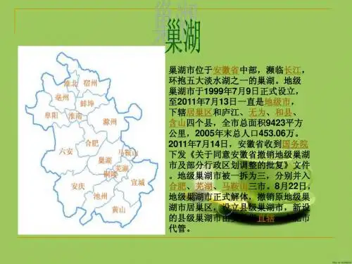 巢湖经济PPT